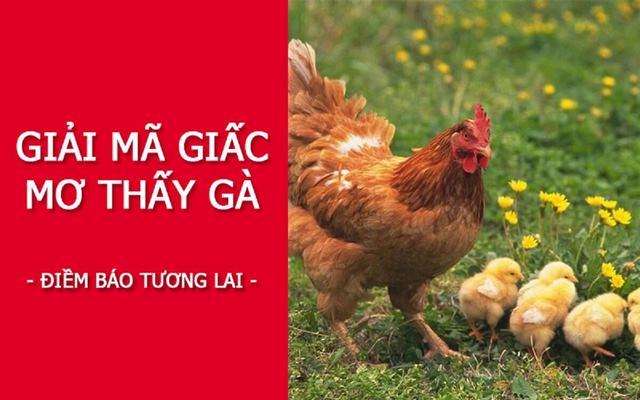 Làm thế nào để soi cầu giấc mơ hiệu quả?